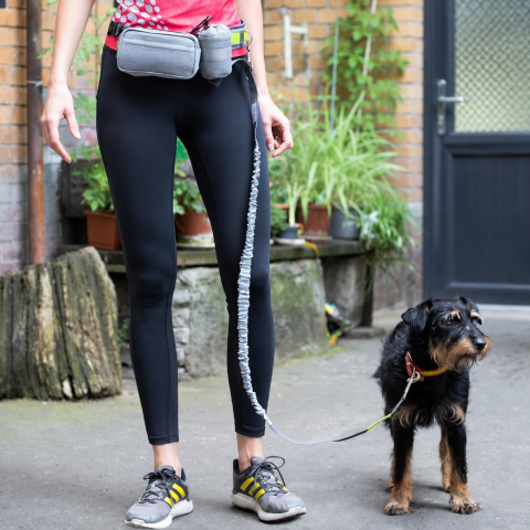 Pet shop - Set Lesa Hands-Free pentru Alergat impreuna cu Cainele si Centura Reglabila pentru Stapan cu Borseta si Saculet, Reflectorizanta, Elastica