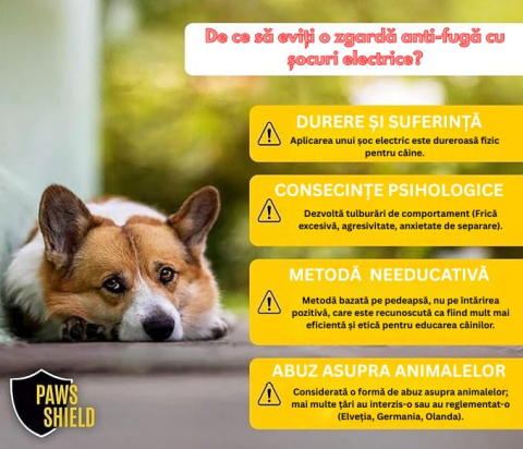 zgarda-anti-evadare-caini-gard-invizibil-150m-fara-soc-paws-shield [4]