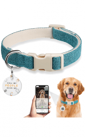Pet shop - Zgarda pentru Câine cu Etichetă QR Code, personalizata, marime M, culoare albastru, ZM0F