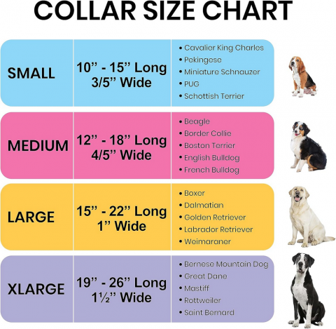 Zgarda pentru caini de talie mica, model Yellow Spring, confortabila, rezistenta si cu design floral, galben, marime S [4]