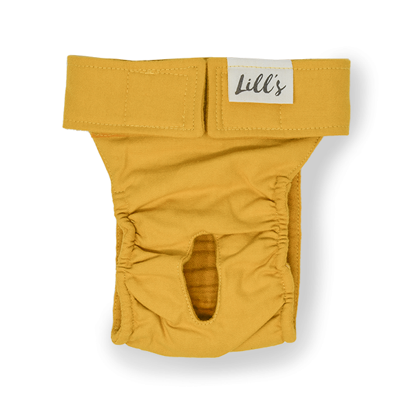 Pantaloni LOU pentru catele in calduri , foarte absorbanti, lavabili - din bumbac 100% organic [8]