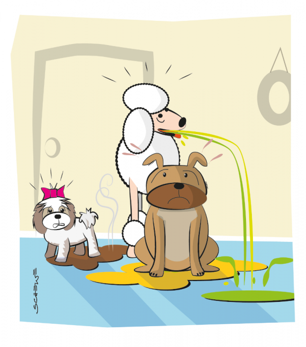 Pudra PIKOSCH PET indepartare lichide [6]
