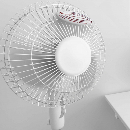 Odorizant camera ECOSHELL - BERGAMOT & SANDALWOOD [8]