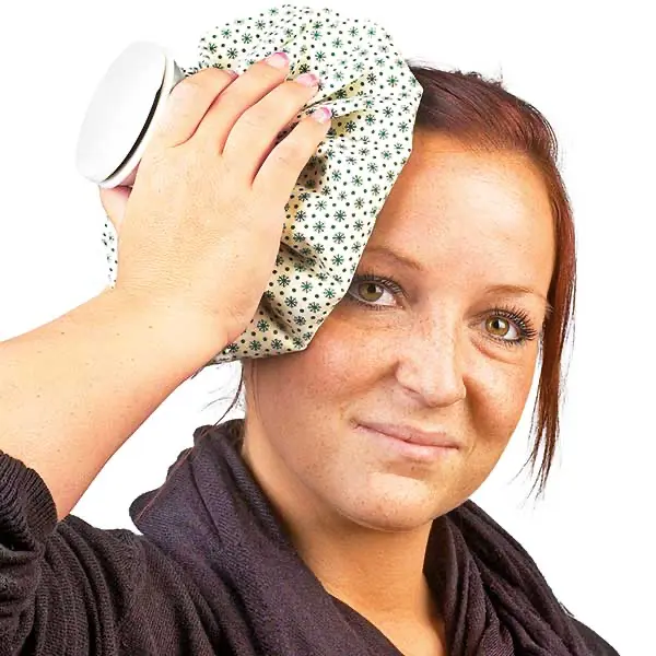 Recipient gheata SERVOCARE - material textil  cu capac - 1.1 litri  21.5cm [1]