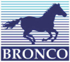 Bronco Models