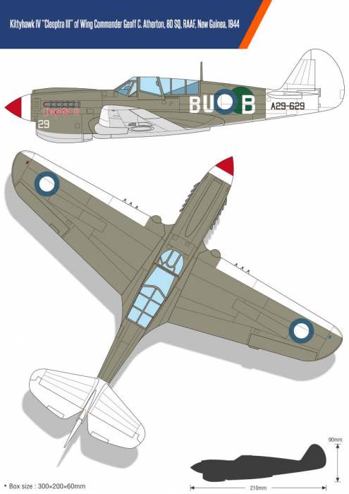 Academy 12341 - 1:48 USAAF P-40N "Battle of Imphal" [4]