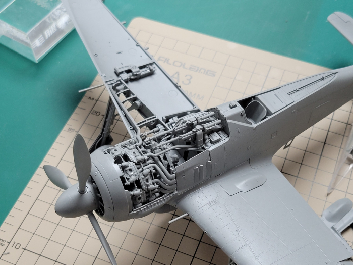 Border Model BF-003 - 1:35 Focke-Wulf Fw 190A-6 w/Wgr. 21 & Full engine and weapons interior [3]