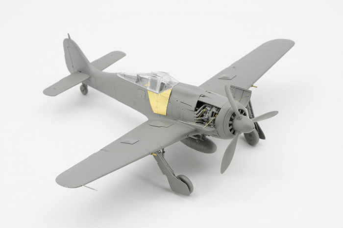 Border Model BF009 1:35 Focke-Wulf Fw190A8 (R2 R6 R7 R8 4IN1) [5]