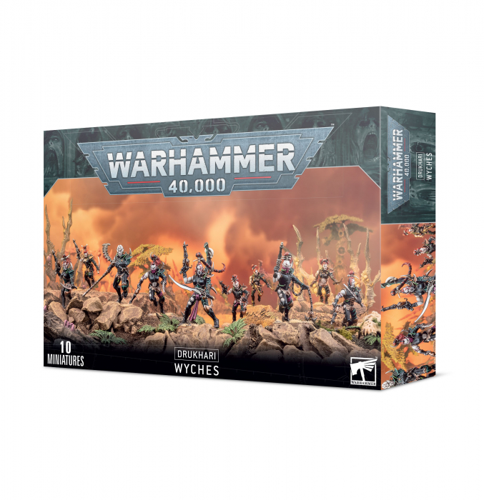Drukhari Wyches [1]