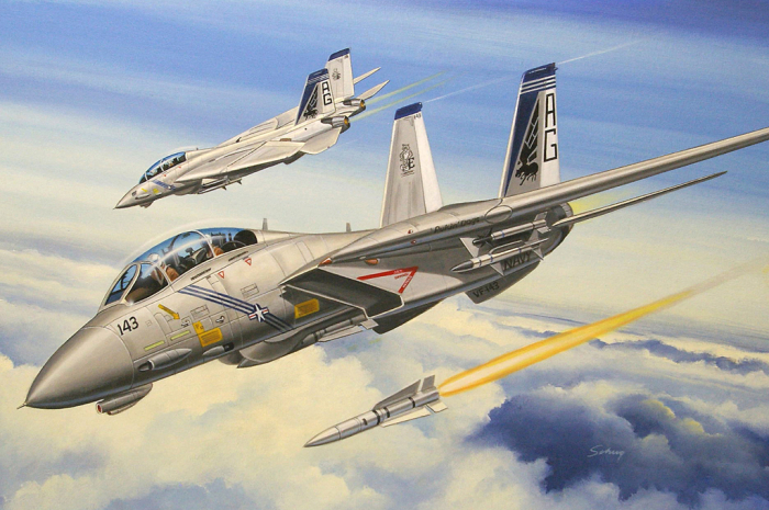 Hobby Boss 80277 - 1:72 F-14B Tomcat [1]