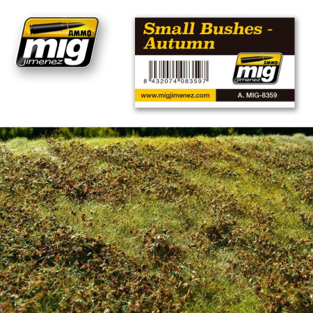 Vegetatie - A.MIG-8359 - SMALL BUSHES - AUTUMN