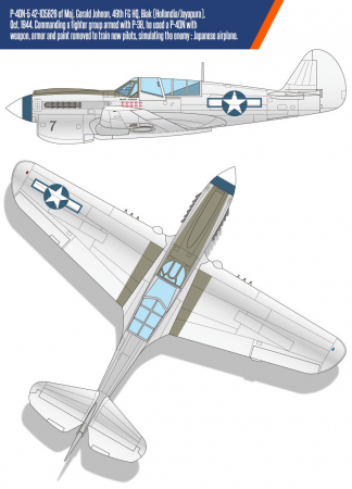 Academy 12341 - 1:48 USAAF P-40N "Battle of Imphal" [2]