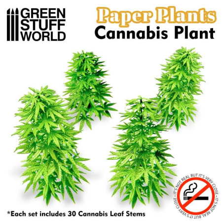 Vegetatie - GSW - Paper Plants - Cannabis