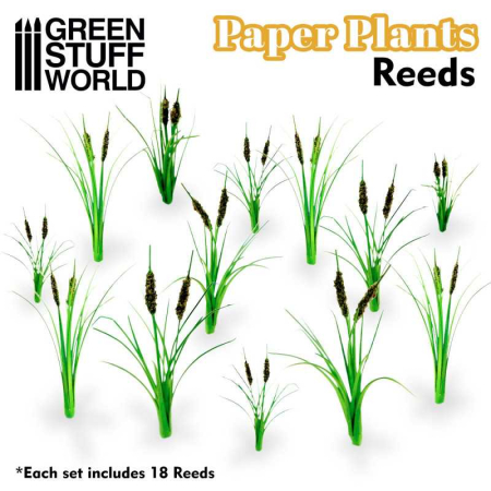 Iarba statica - GSW - Paper Plants - Reeds