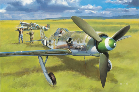 Avioane - Hobby Boss 81721 - 1:48 Focke-Wulf FW190D-13