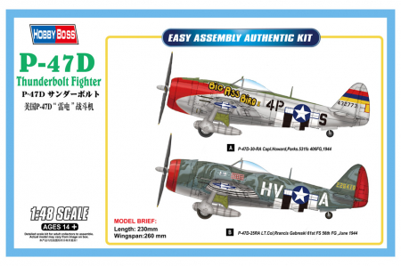 PACHETE - Hobby Boss 85804 - 1:48 P-47D Thunderbolt Fighter