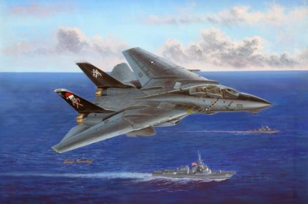 Aero militare - HobbyBoss 80367 - 1:48 Grumman F-14B Tomcat VF-103 Jolly Rogers - Santa Cat
