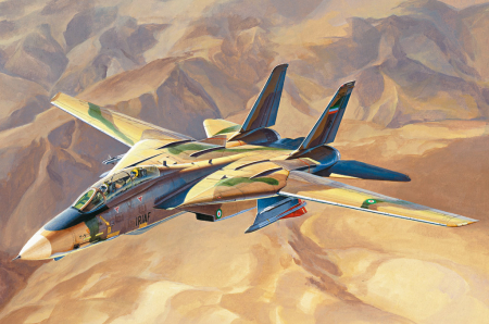 Aero militare - Hobby Boss 81771 - 1:48 “Persian Cat” F-14A TomCat - IRIAF