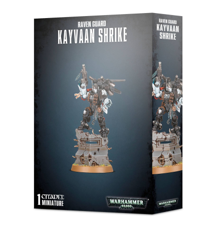 Wargames & Boardgames - Raven Guard Kayvaan Shrike