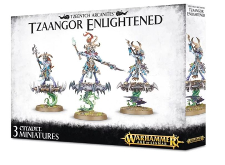 Units - Tzeentch Arcanites Tzaangor Enlightened