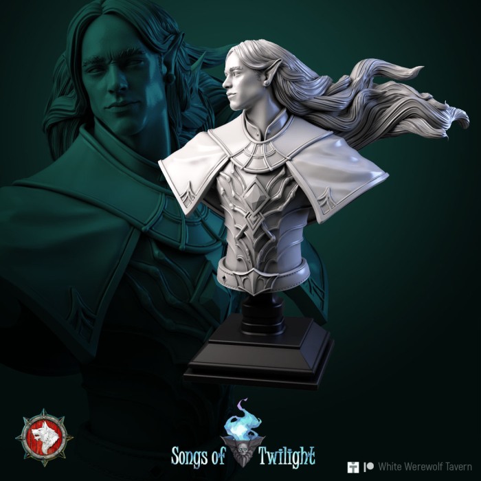 HCB 189. Drow Warlord [3]
