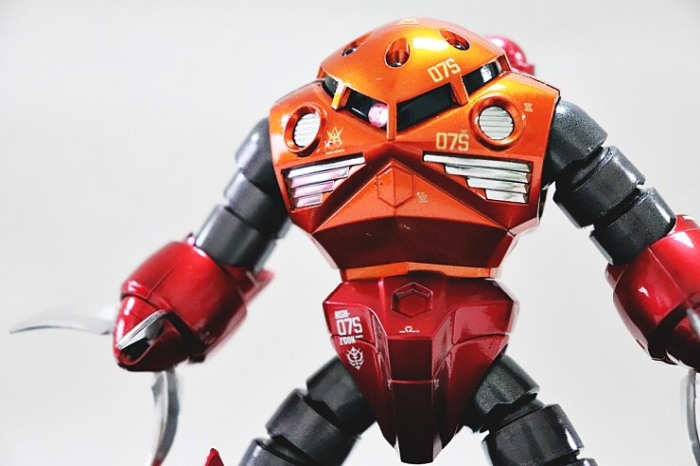 HCD0077 RG Z'GOK WATER DECAL [11]
