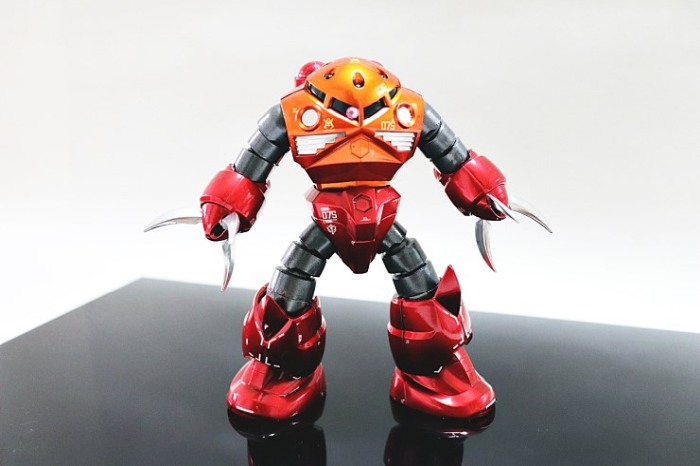 HCD0077 RG Z'GOK WATER DECAL [16]