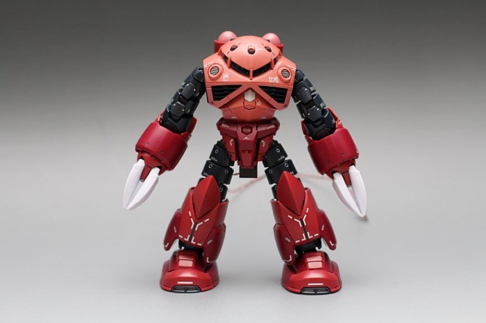 HCD0077 RG Z'GOK WATER DECAL [10]