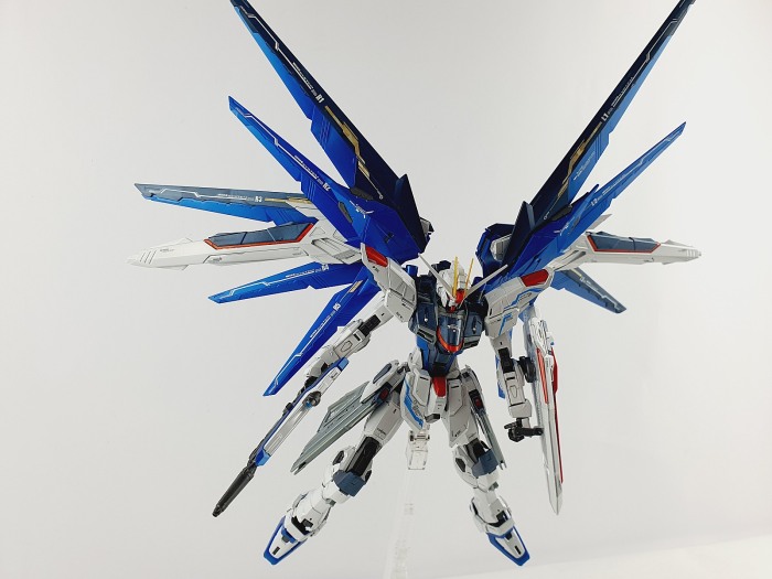 HCD1044. MG FREEDOM 2.0 WATER DECAL All DELPI [23]