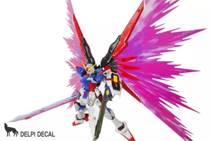 HCD1063 [Effect] RG DESTINY WINGs [2]