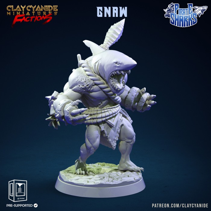 HCF 020. Shark Pirates [14]