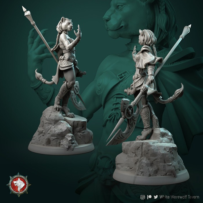 HCM 211. Auria_Tabaxi_Female [5]