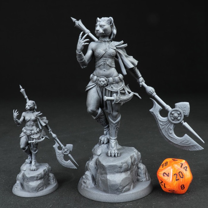HCM 211. Auria_Tabaxi_Female [3]