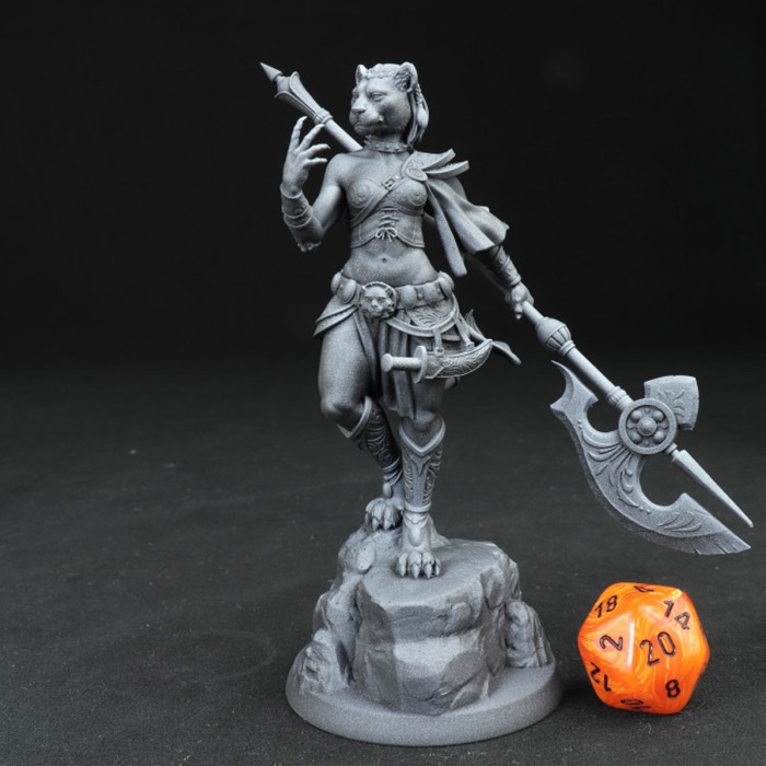 HCM 211. Auria_Tabaxi_Female [2]