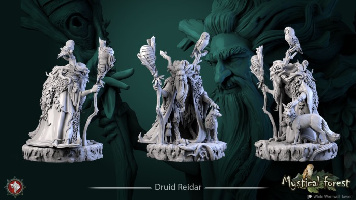 HCM 345. Druid Reidar [4]