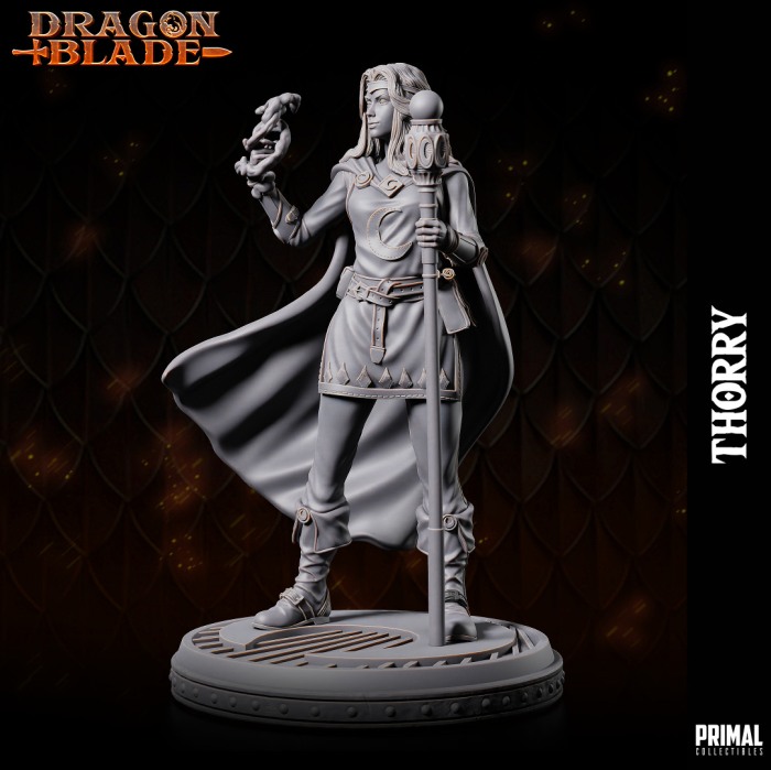 HCM 539 Thorry [3]