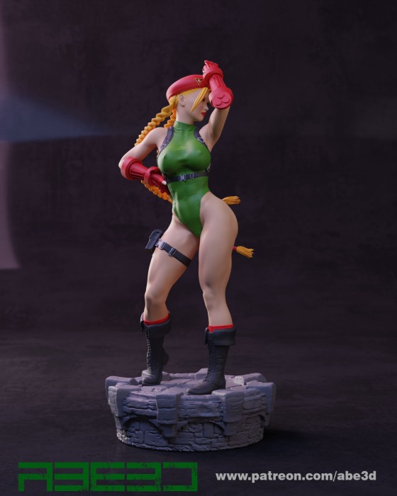 HCS0009. Cammy [5]