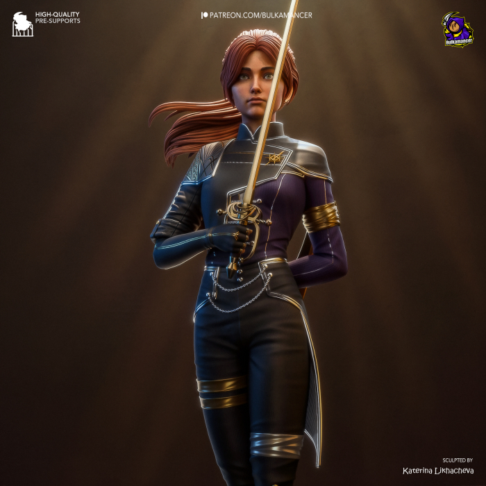 HCSG0323 Fencer Expedition 33 [2]