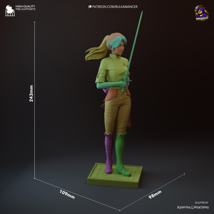 HCSG0323 Fencer Expedition 33 [4]