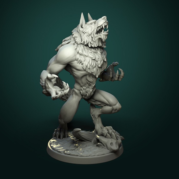 HCT 331. Furious Werewolfs [4]