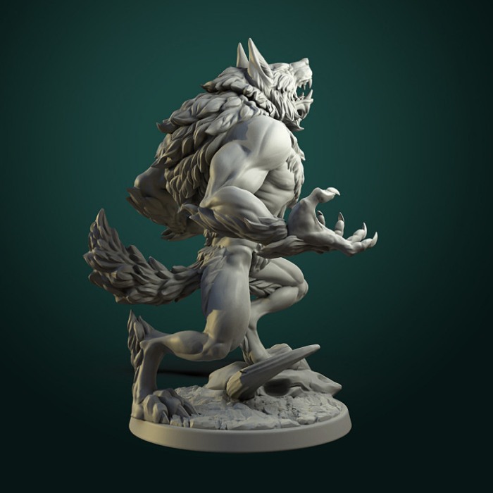 HCT 331. Furious Werewolfs [3]