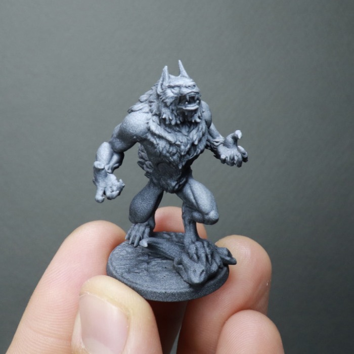 HCT 331. Furious Werewolfs [2]