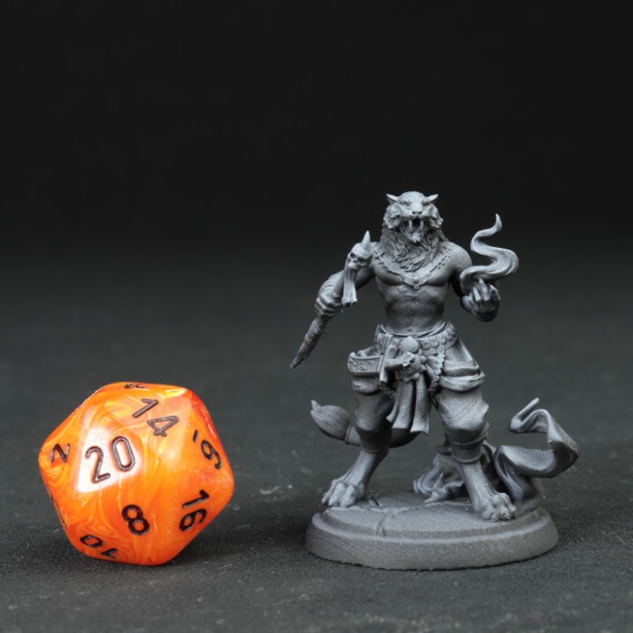 HCT 364. Tabaxi Warriors [10]