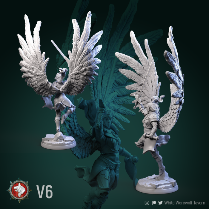 HCT 489. Valkiries [2]