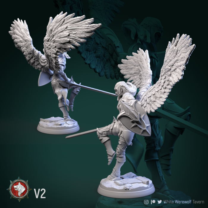 HCT 489. Valkiries [11]