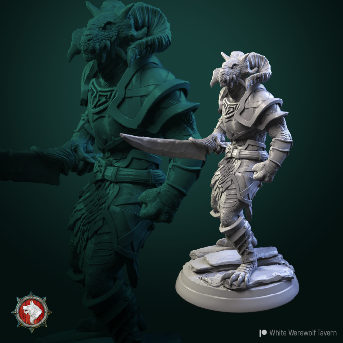 HCT 493. Dragonborn warriors [7]