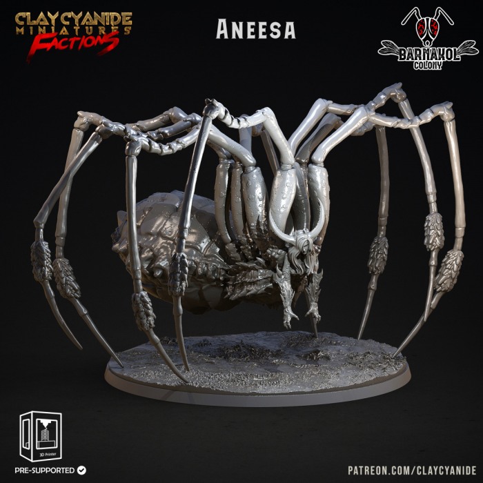 HCT 529. Aneesa [1]