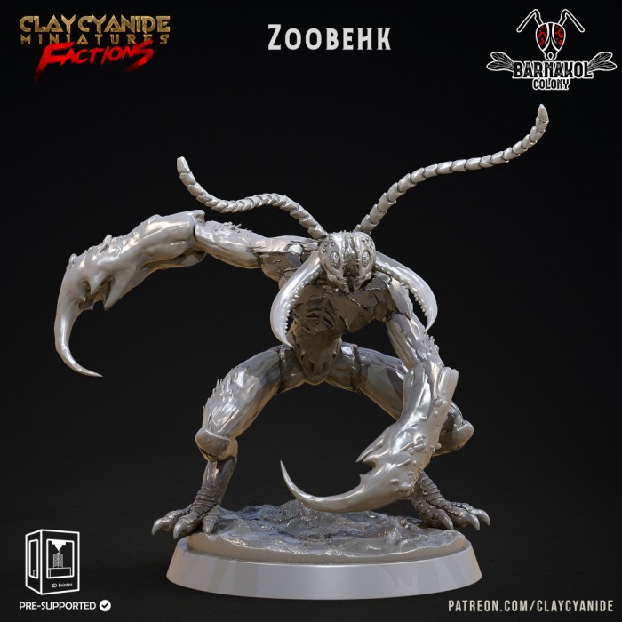 HCT 531. Zoobekh [1]