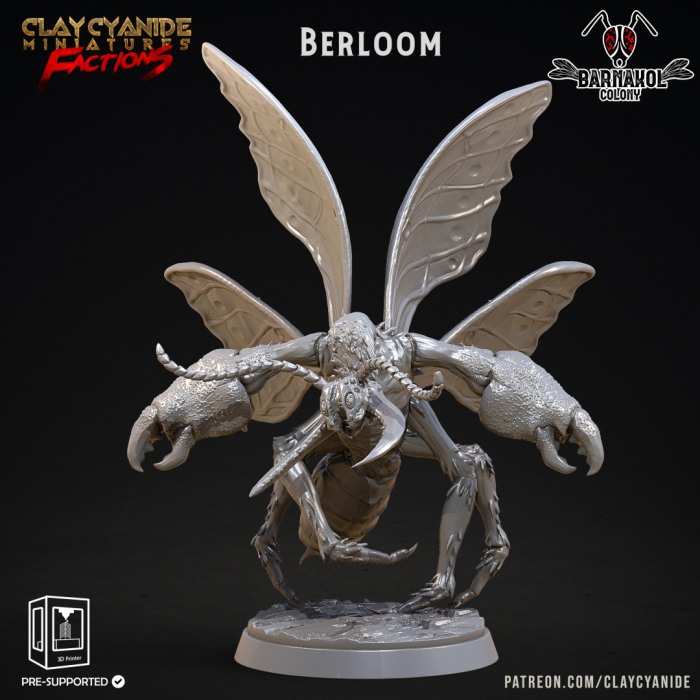 HCT 533. Berloom [1]