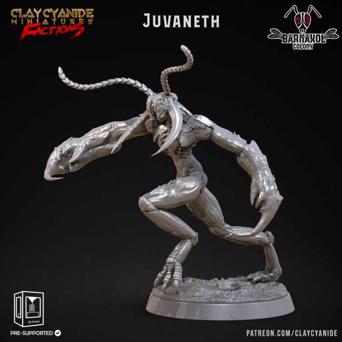 HCT 535. Juvaneth [1]